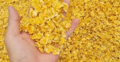 為什么說玉米壓片機(jī)是飼料玉米片的核心